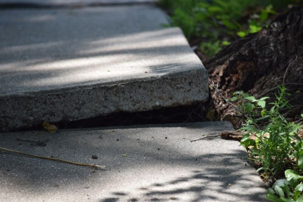 Sidewalk Leveling in Marco Island